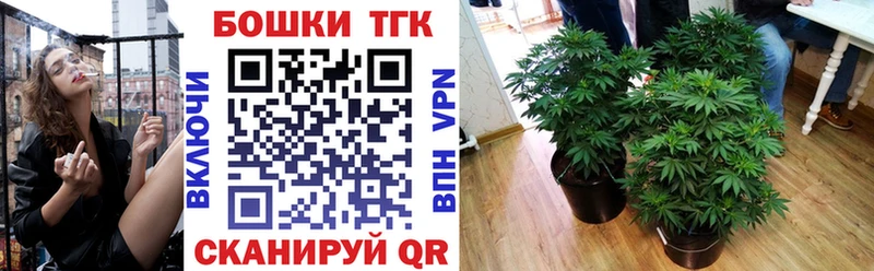 Конопля планчик  Нижневартовск 
